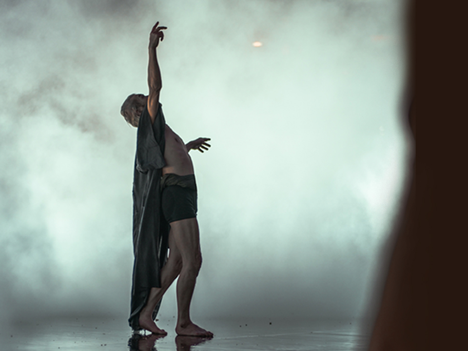 Conceptualismos y performance