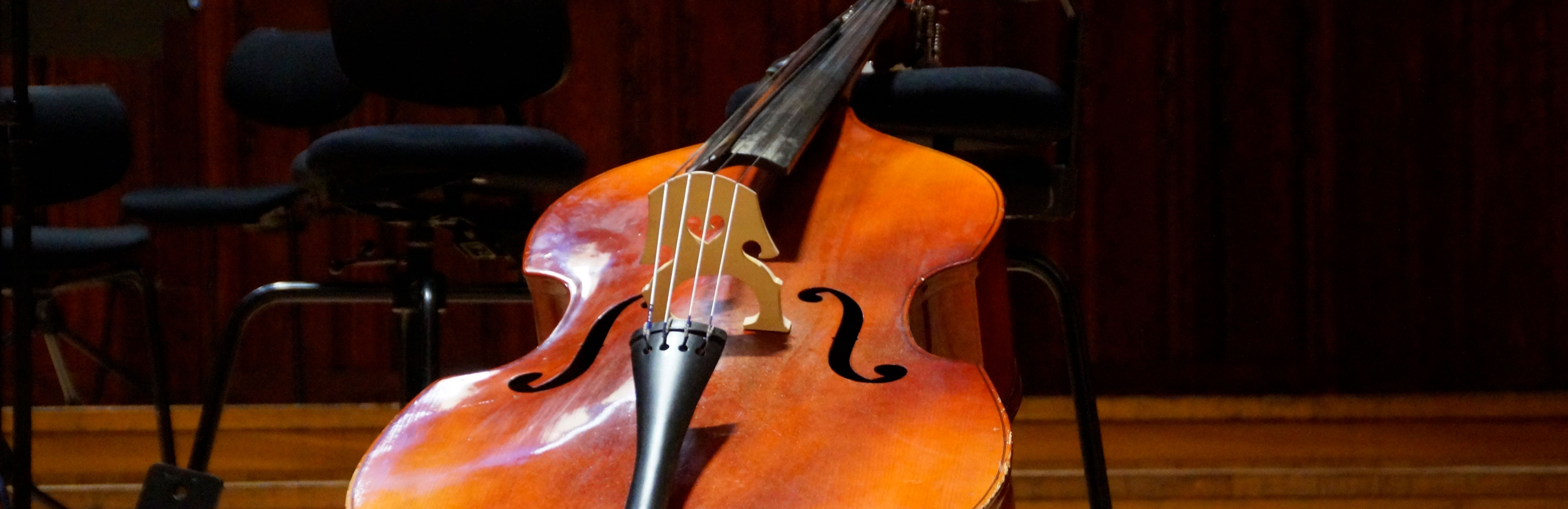 Ciclo DAMuseos: Ensamble de Cellos en el Museo Roca