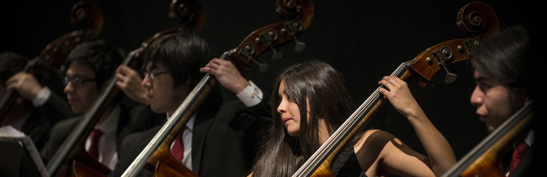 El contrabajo en la ópera