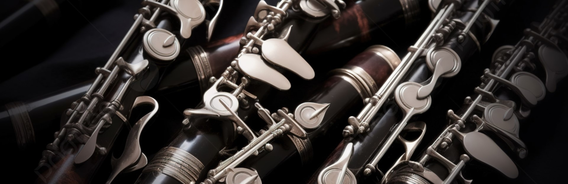 Concierto de cátedra de Clarinete de la Lic. Griselda Giannini