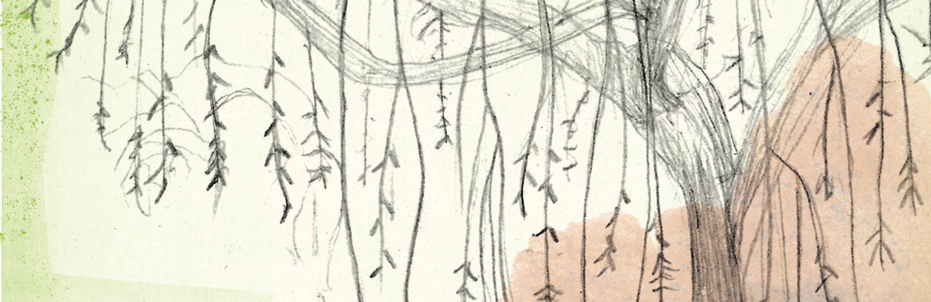 UNA de poetas | Otoño