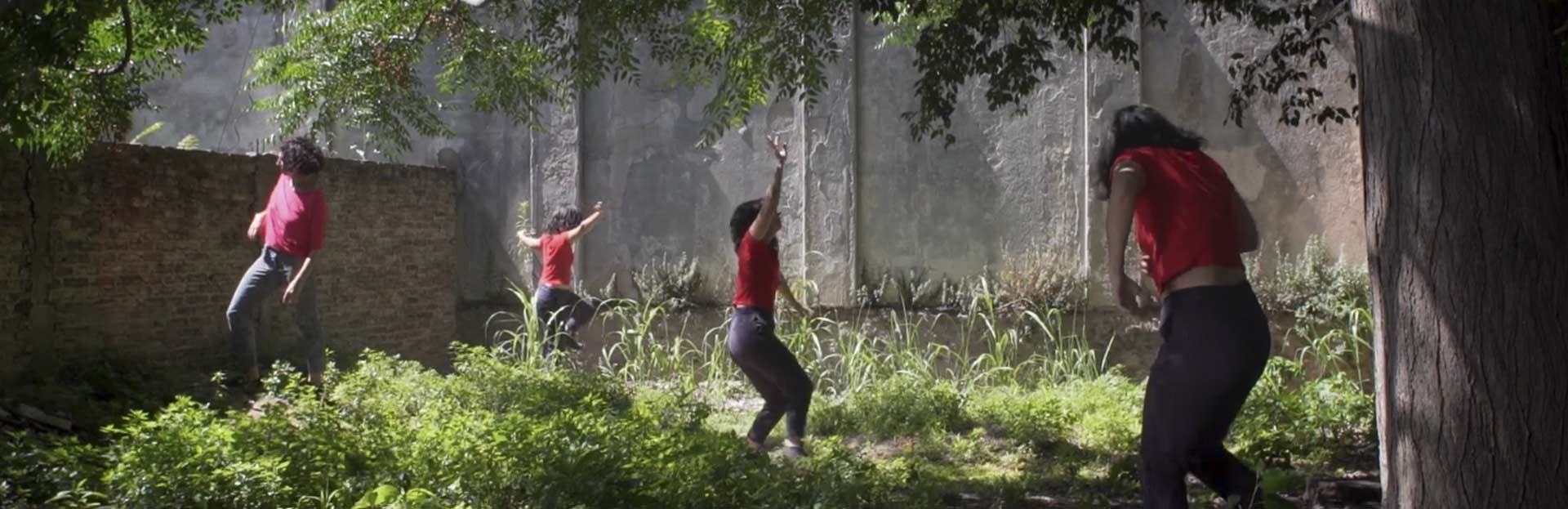 Selección de videos pertenecientes al ciclo Danza x la Identidad