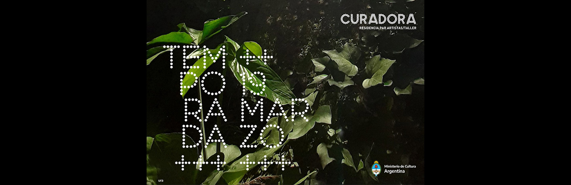 Curadora. Residencia para artistas
