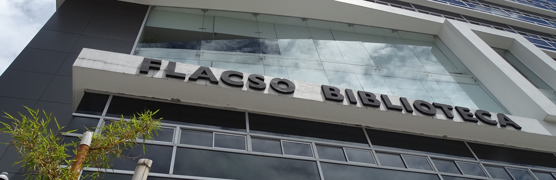 Biblioteca FLACSO Ecuador. Capacitaciones gratuitas