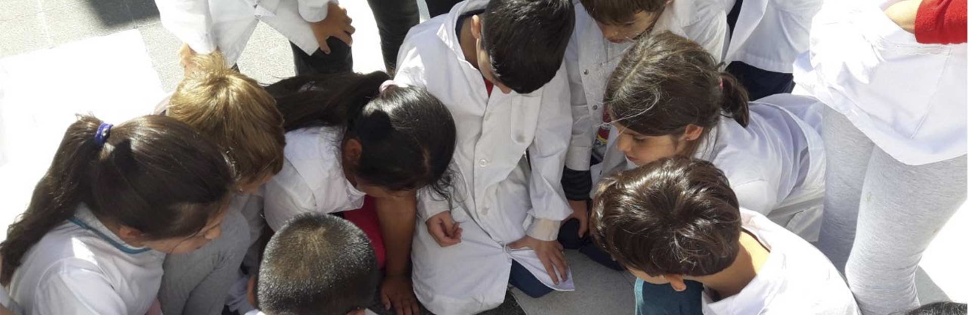 Lanzamiento de la Diplomatura de extensión en Planificación de Actos Escolares e Institucionales: efemérides en clave decolonial