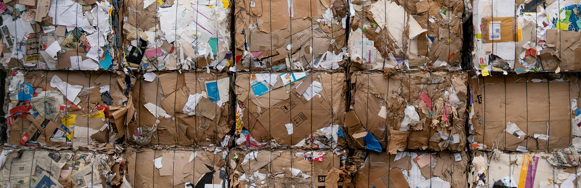 17 de mayo | Día Mundial del Reciclaje
