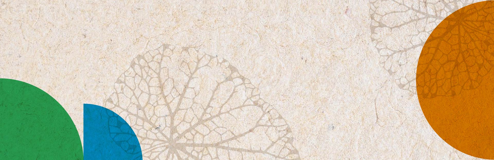  ¿Qué hacemos desde la UNA para cuidar lo nuestro? | Día Mundial del Ambiente 