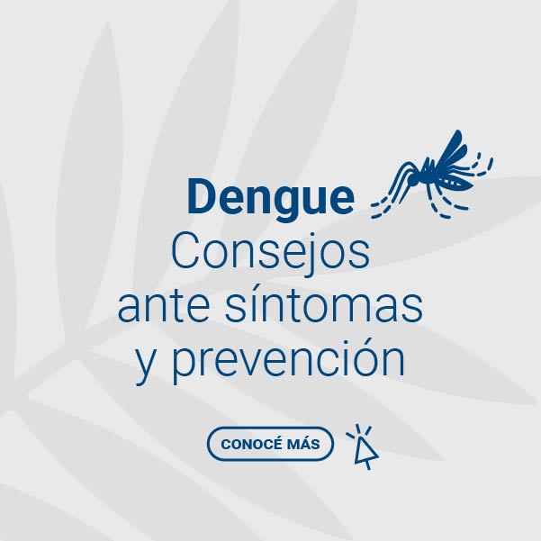 RE - Dengue, consejos y prevención