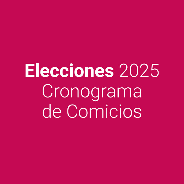 AA - Elecciones 2025 | Cronograma de Comicios