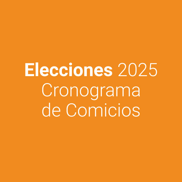 AD - Elecciones 2025 | Cronograma de Comicios