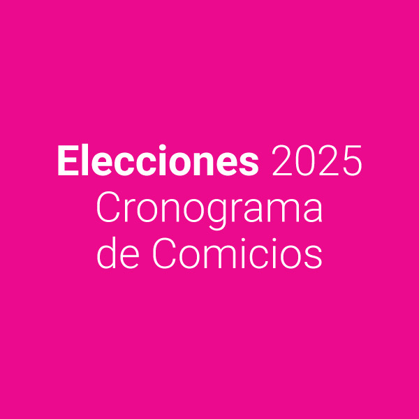 AM - Elecciones 2025 | Cronograma de Comicios