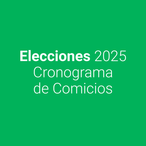 AV - Elecciones 2025 | Cronograma de Comicios