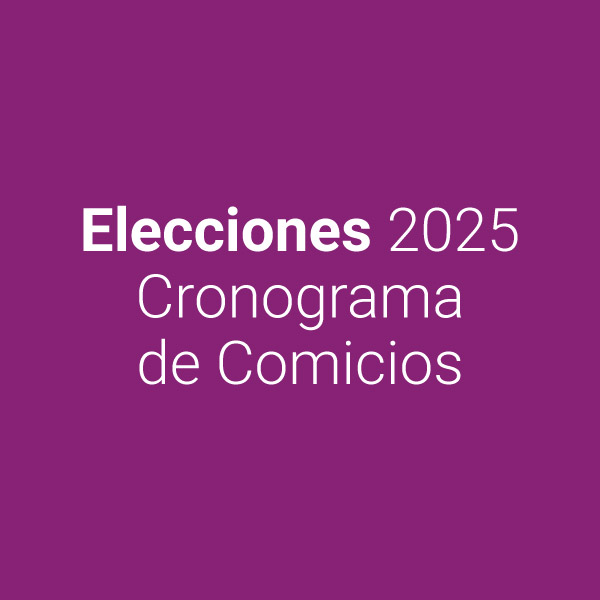 CA - Elecciones 2025 | Cronograma de Comicios
