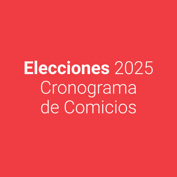 FO - Elecciones 2025 | Cronograma de Comicios