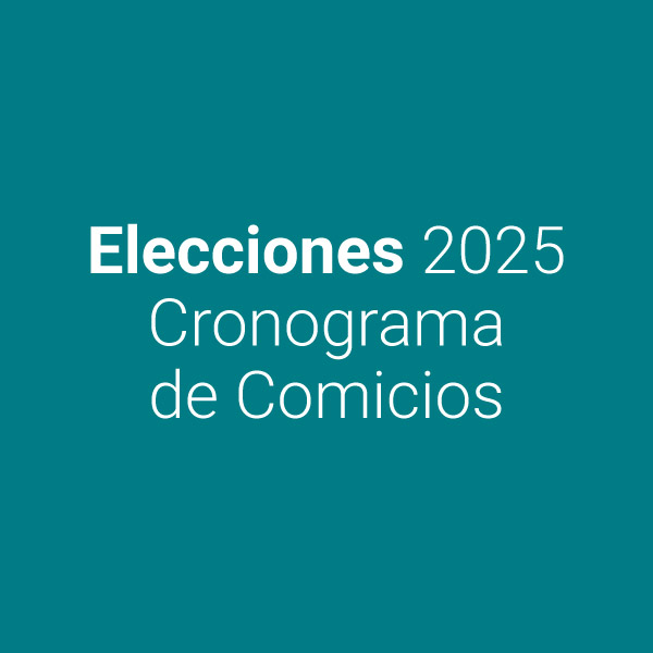 MM - Elecciones 2025 | Cronograma de Comicios