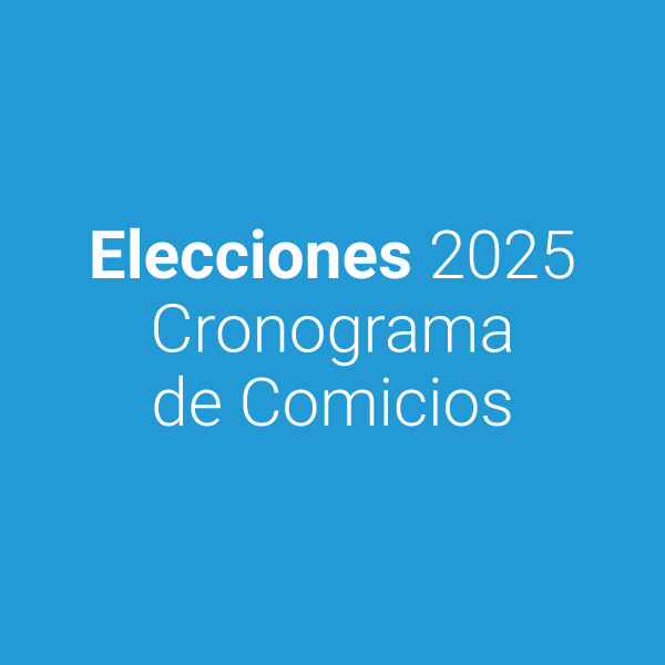 MS - Elecciones 2025 | Cronograma de Comicios