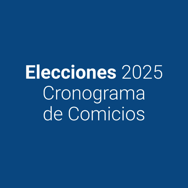 RE - Elecciones 2025 | Cronograma de Comicios